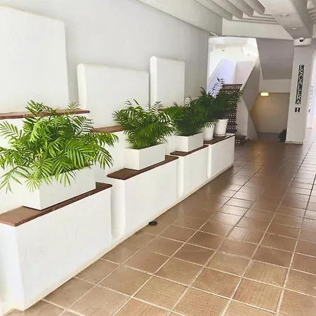 Amplio Y Luminoso En Puerto Banus Διαμέρισμα *